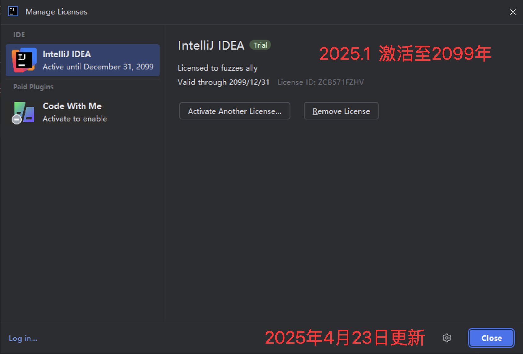 【2025最新】Idea 2025.1激活教程+一键激活永久使用