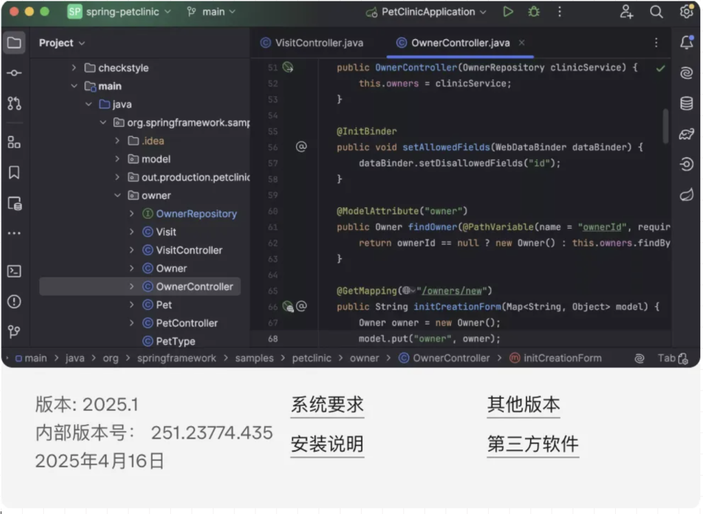IDEA 2025.1 版震撼发布，建议更新